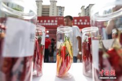 第10届贵州·遵义国际辣椒博览会开幕